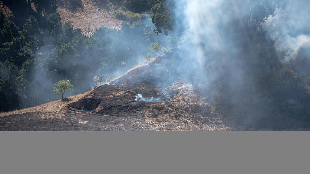 Gran Canaria, Waldbrand, Spanien