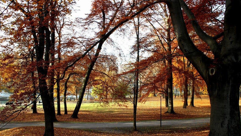 Herbst an der Isar