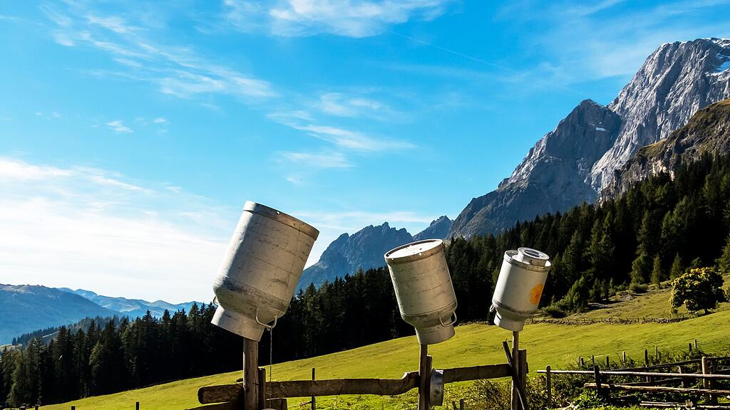 Seit dem Preistief im Sommer hat sich die Lage am Milchmarkt etwas entspannt (Symbolbild).