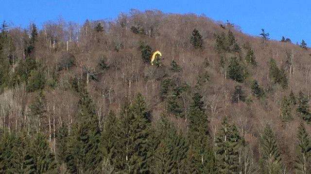 Paragleiterin stürzt am Gaisberg ab
