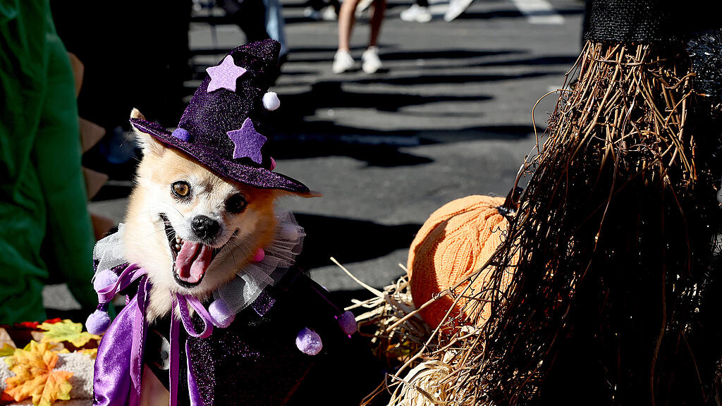 Halloween Parade