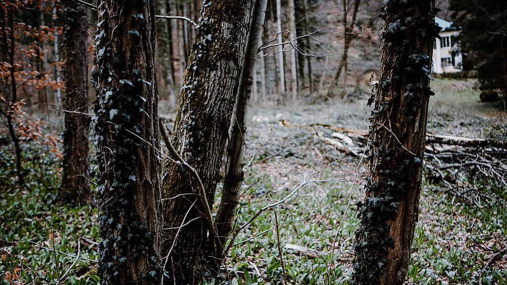 Nachmittagsspaziergang Hexenloch