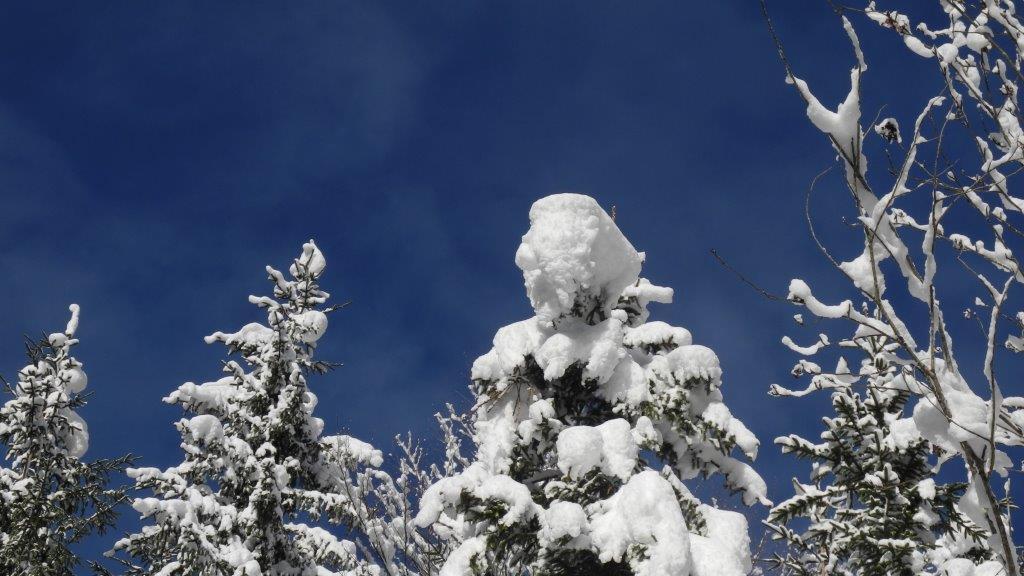 Eure schönsten Winterbilder I