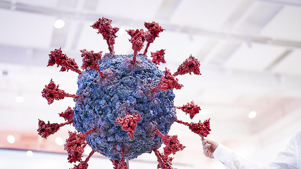 Ein Modell des Coronavirus - Fälle steigen auch in Österreich wieder