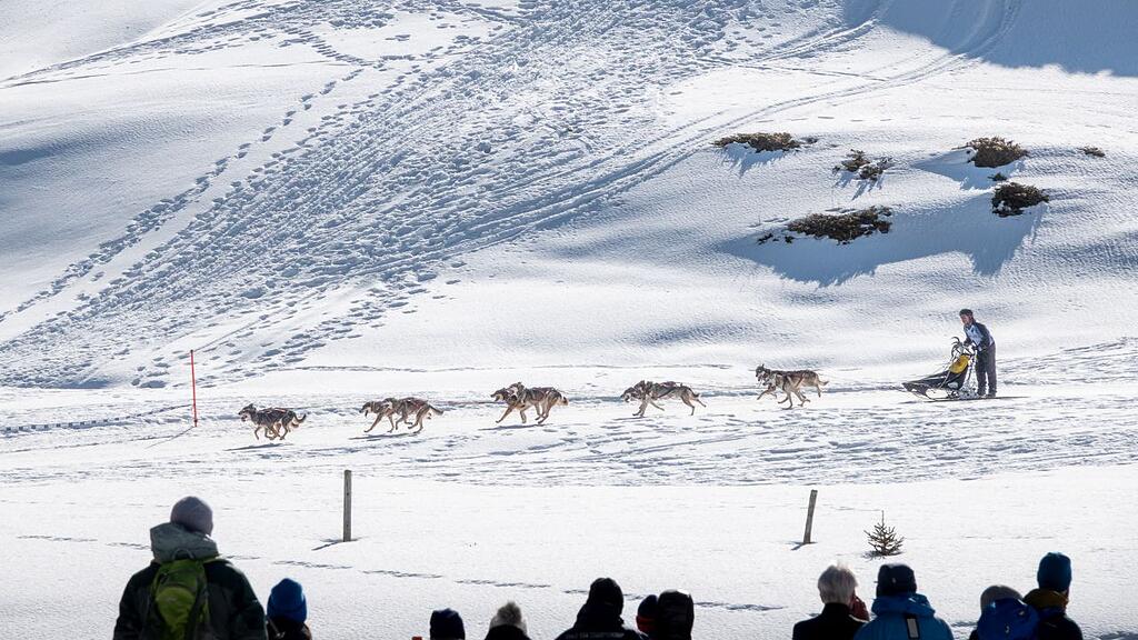 Schlittenhunderennen in Sportgastein