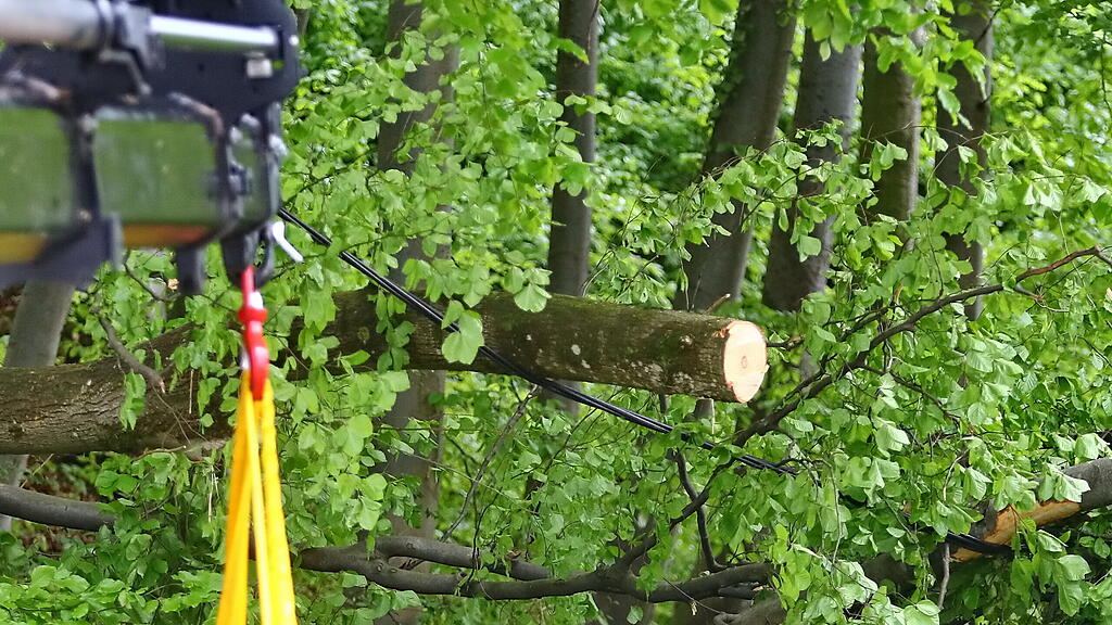 Baum fällt auf Stromleitung