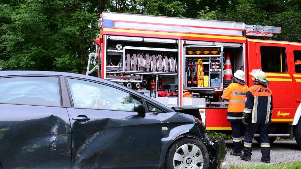 Pinzgauerinnen in Bayern verletzt, I