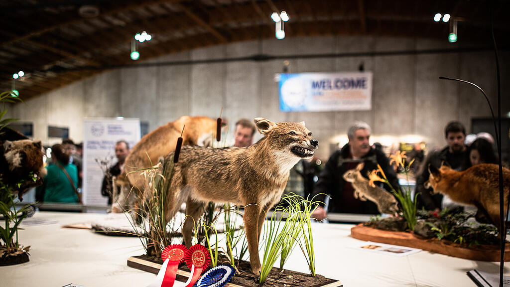 Hohe Jagd und Fischerei