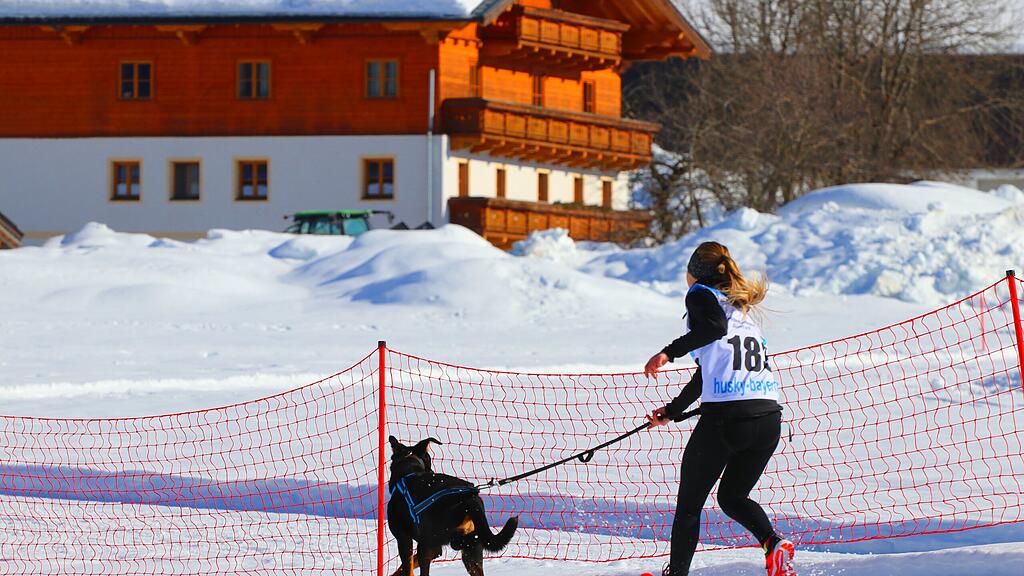 Schlittenhunderennen