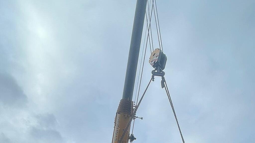 Christbaum wird verladen