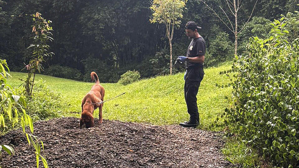 COSTA RICA-GERMANY-CRIME