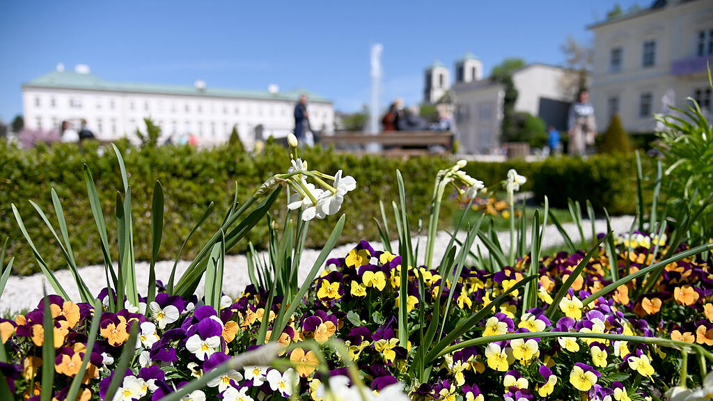symb_Frühling, symb_Sonne, symb_WetterSalzburg