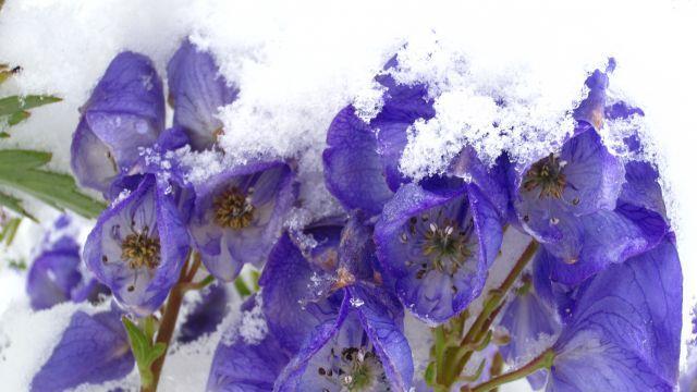 So schön kann der Winter sein