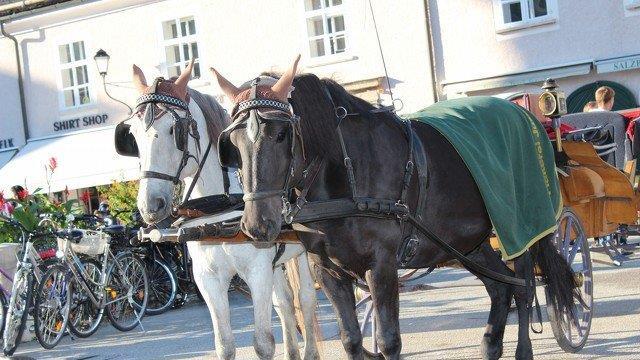 Rupertikirtag am WE