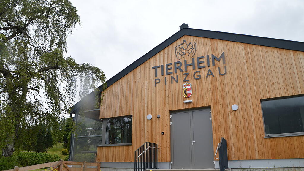 Tierheim Pinzgau