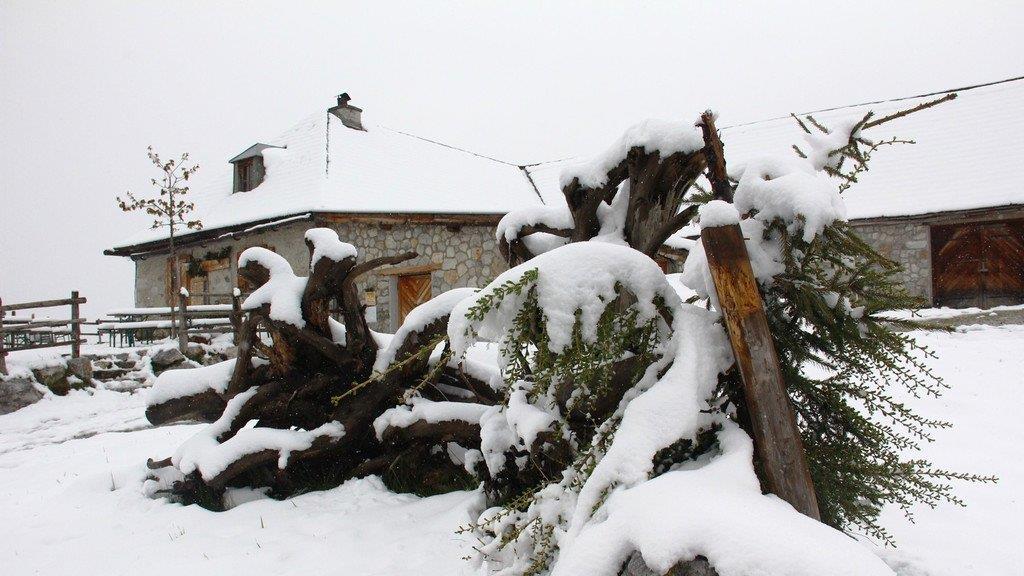 Schnee in Mühlbach/Hochkönig