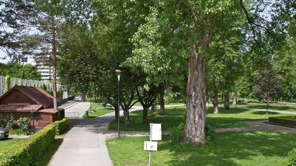 Lehener Park wird zur Schutzzone erklärt