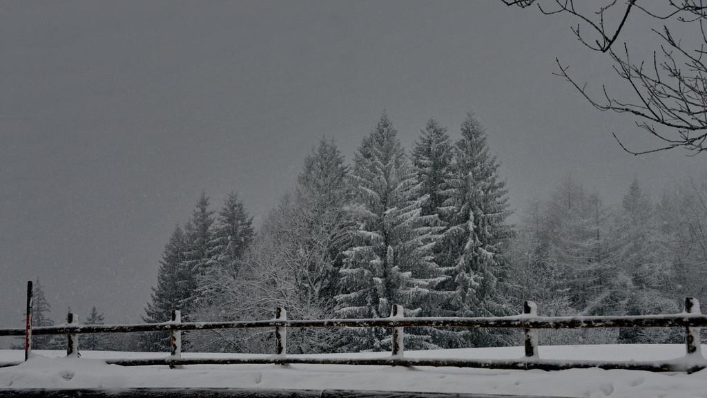 Wintereinbruch am Gaisberg