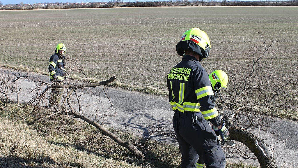 Sturm Niederösterreich