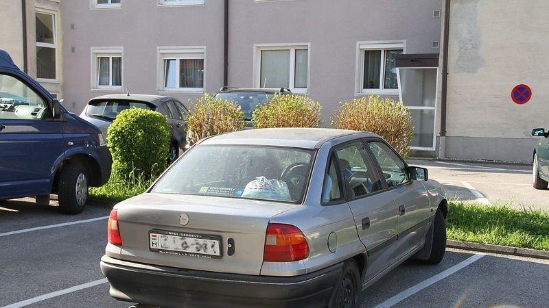Großfahndung nach Überfall in Hallein I