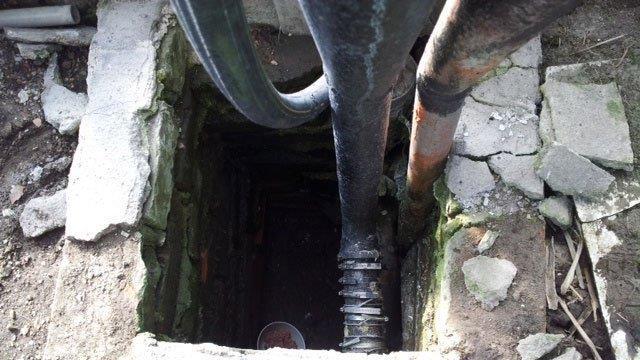 Wien-Simmering: Katze überlebte sieben Tage in Brunnenschacht