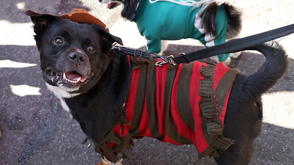 Halloween Parade