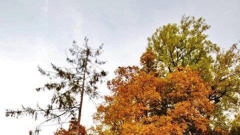 Goldener Oktober in Salzburg