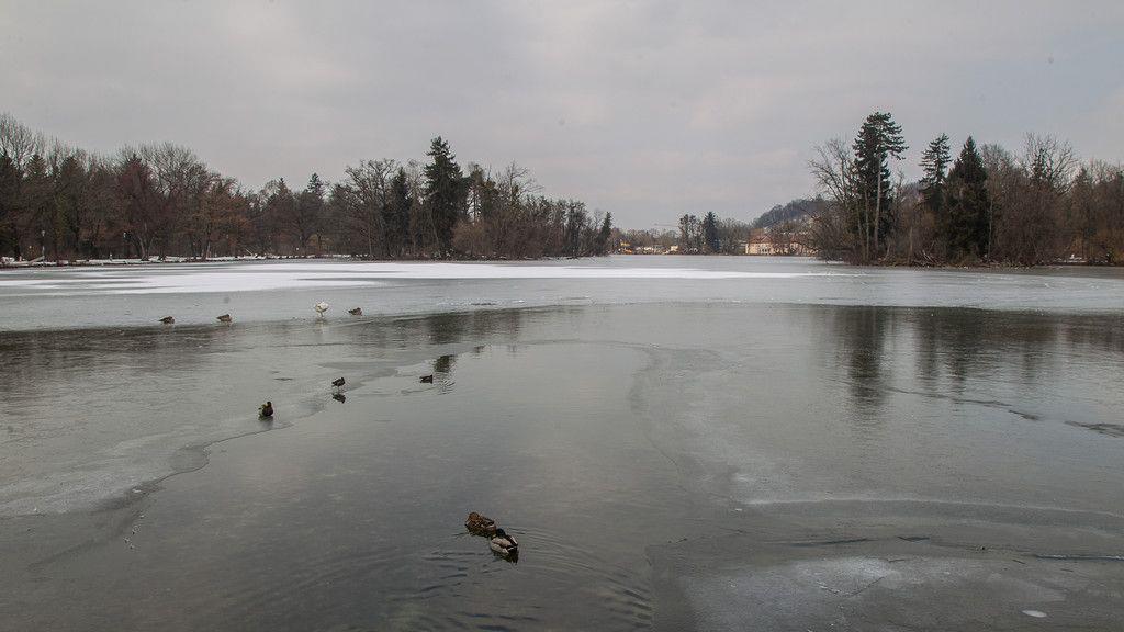 Bitterkaltes Wetter am Leopoldskroner Weiher