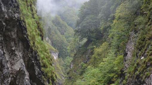 Großübung in der Lammerklamm