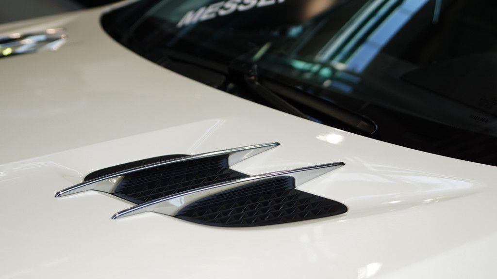 10. Auto Messe Salzburg und dritte Garten im Messzentrum