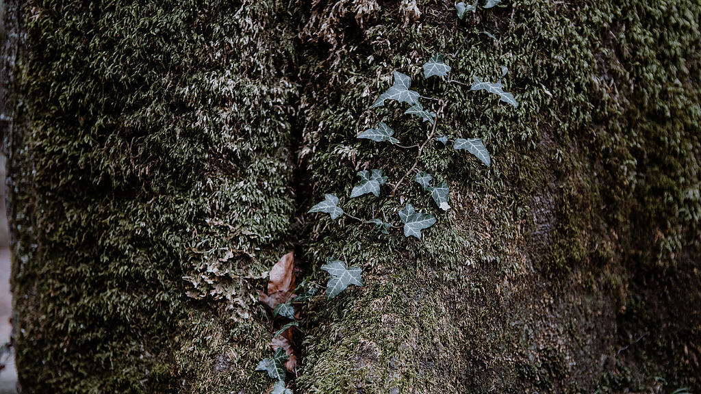 Nachmittagsspaziergang Hexenloch