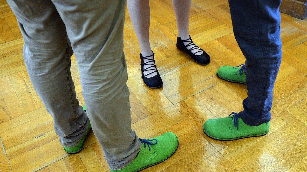 Neue Landesregierung angelobt, I