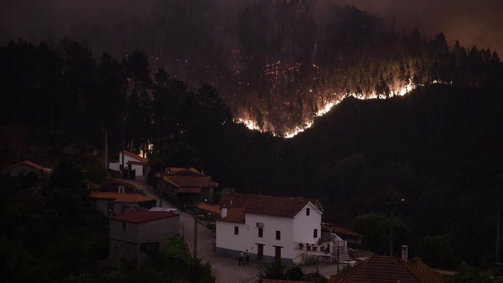 Waldbrand in Portugal