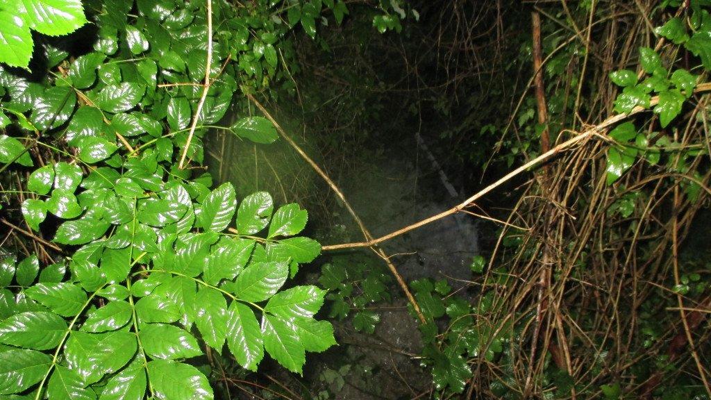 Überflutungen in Seeham