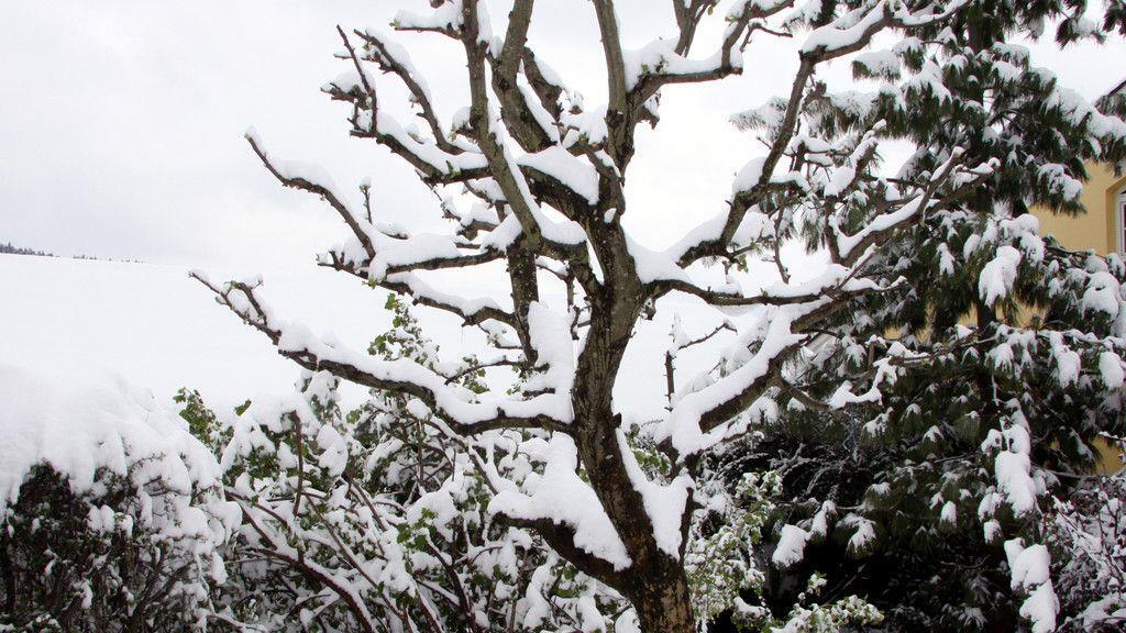 Wintereinbruch im Flachgau