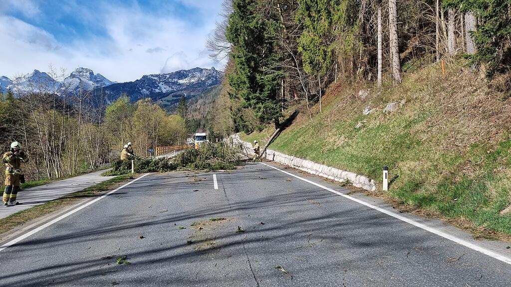 Baum st\u00fcrzt in Unken auf Auto