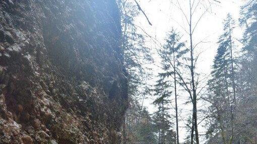Glasenbachklamm: Hoher Pegel