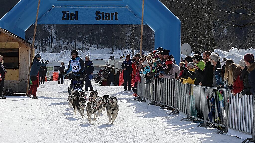 Schlittenhunderennen