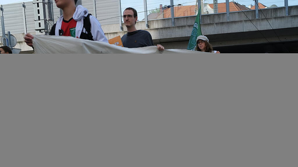 Klimastreik in Salzburg II