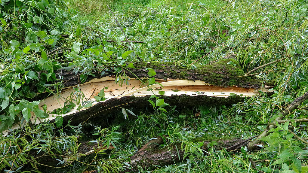 Unwetter-Schäden in Salzburg