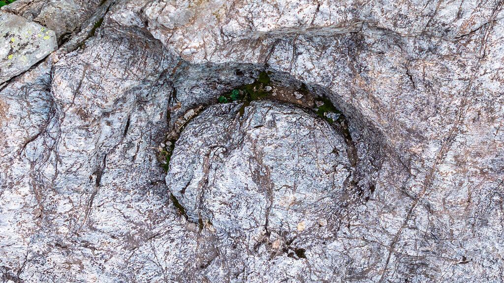 Meldungsliste(28)_8.jpg
