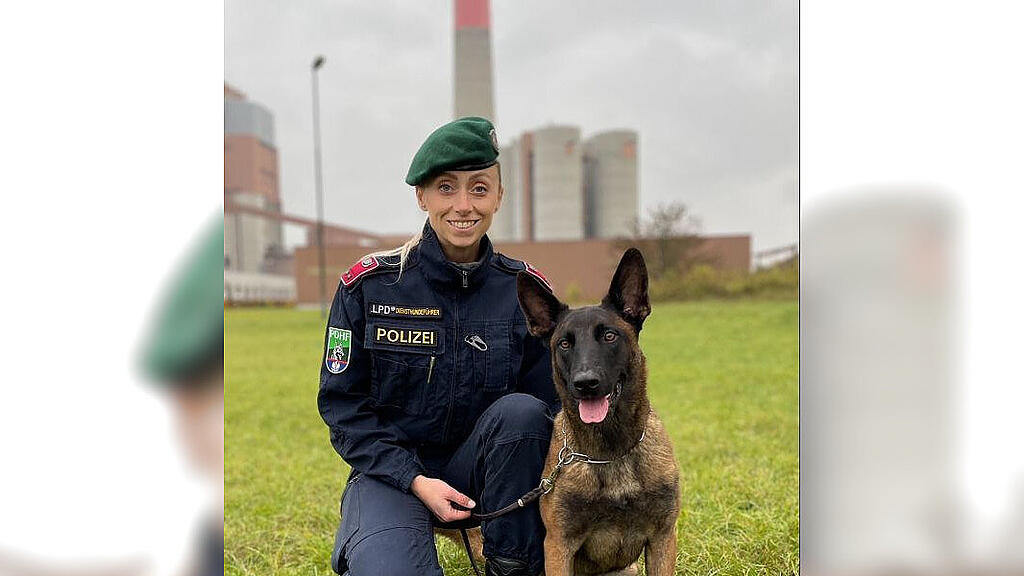 Cox und Diensthundeführerin in Linz