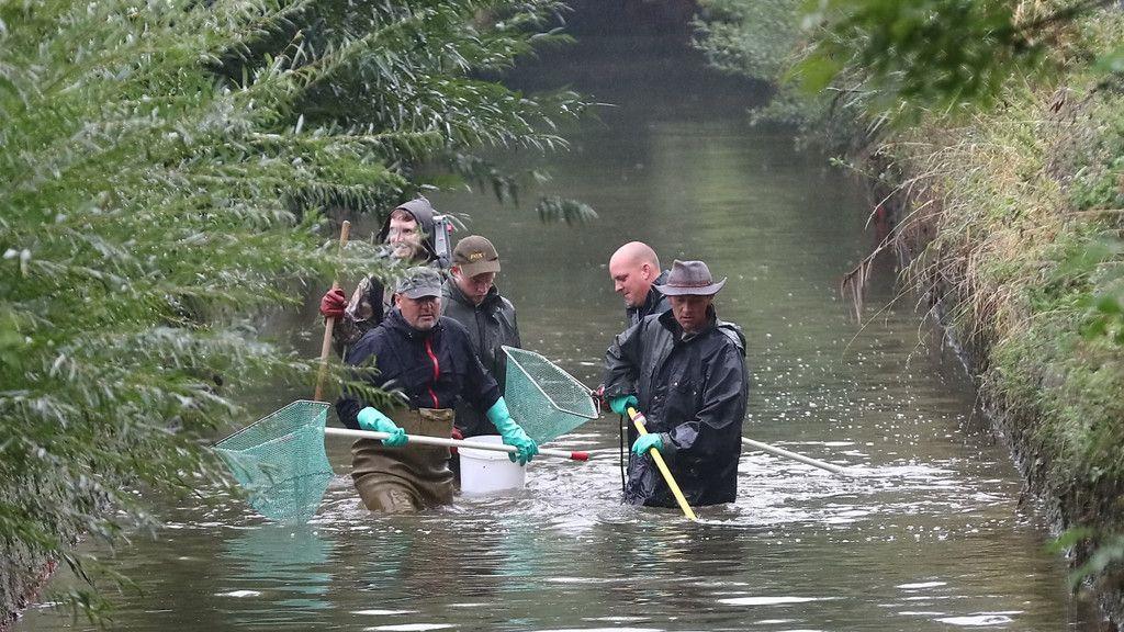 Almkanal Reinigung