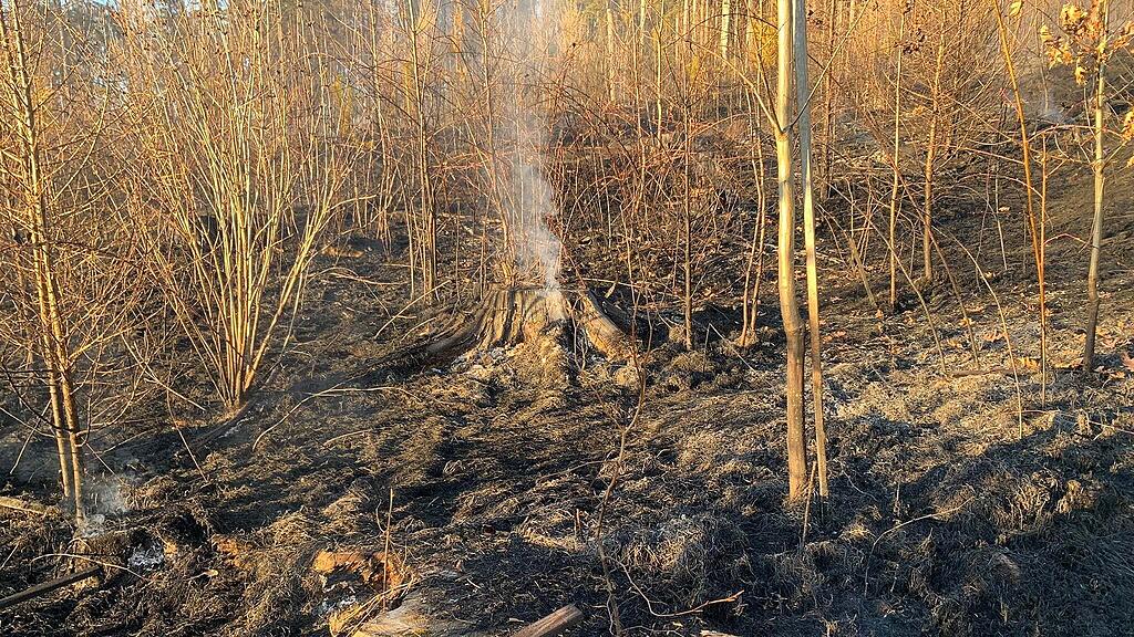 Waldbrand_Krottendorf
