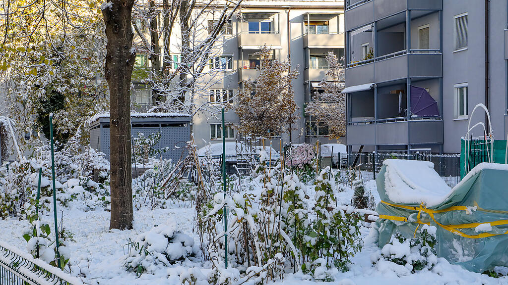 20241122_fmt_erster_schnee_salzburg_mw-16.jpg