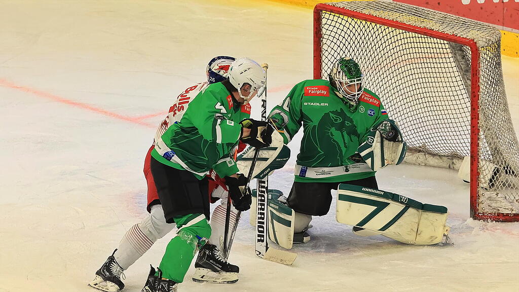 Red Bull Salzburg_Olimpija Ljubljana