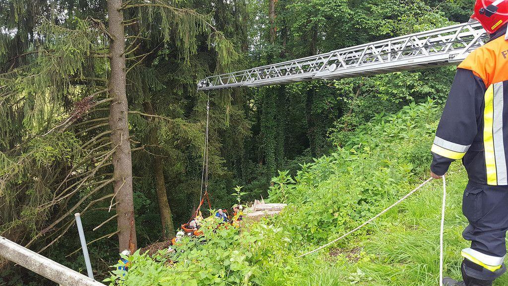 Schwerer Forstunfall in Loh: Mann unter Baum eingeklemmt