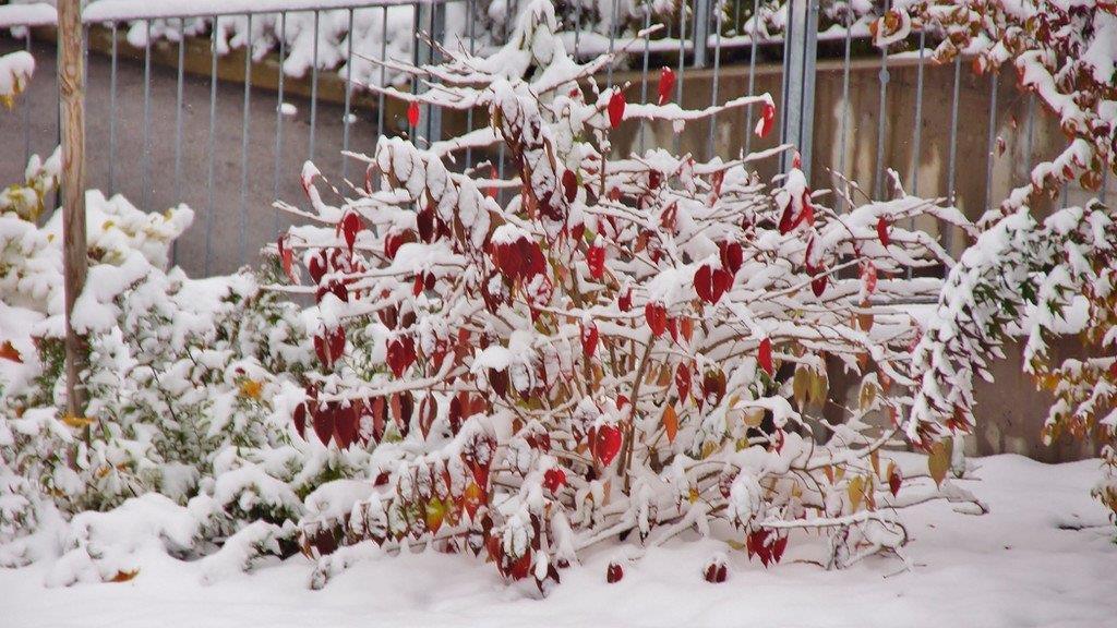 Winterwetter in Oberösterreich