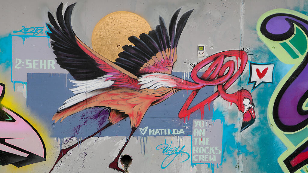 Graffiti in der Stadt Salzburg
