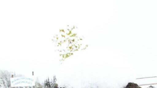 Schnee in Mühlbach/Hochkönig